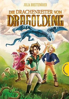 Der Drachenreiter von Dragolding