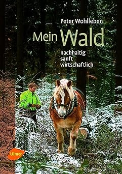 Mein Wald